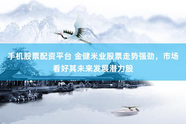 手机股票配资平台 金健米业股票走势强劲，市场看好其未来发展潜力股