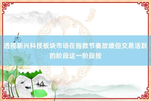 透视新兴科技板块市场在指数节奏放缓但交易活跃的阶段这一阶段按