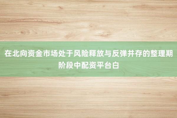 在北向资金市场处于风险释放与反弹并存的整理期阶段中配资平台白