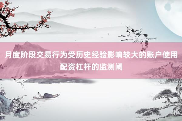 月度阶段交易行为受历史经验影响较大的账户使用配资杠杆的监测阈