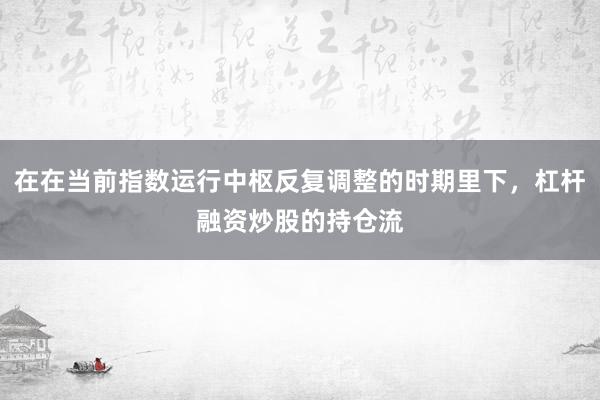在在当前指数运行中枢反复调整的时期里下，杠杆融资炒股的持仓流
