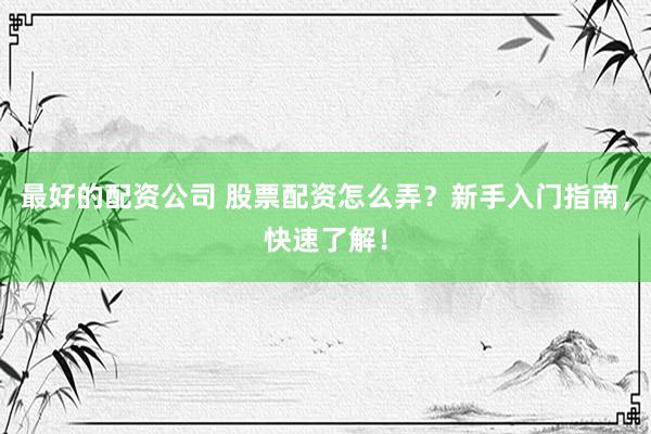 最好的配资公司 股票配资怎么弄？新手入门指南，快速了解！