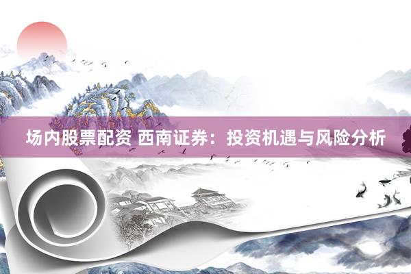 场内股票配资 西南证券：投资机遇与风险分析